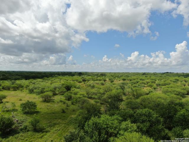 Land for sale in Falls City, Texas