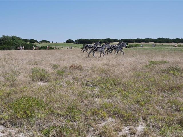Land for sale in Watson, Lampasas