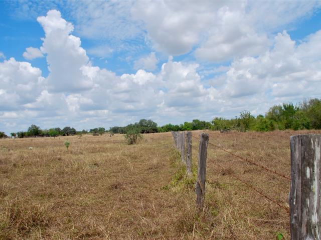 Land for sale in Shiner, Lavaca County