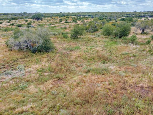 Farm for sale in Devine, Medina County