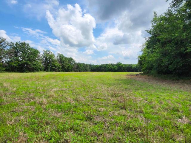Land for sale in Sturgeon, Boone County