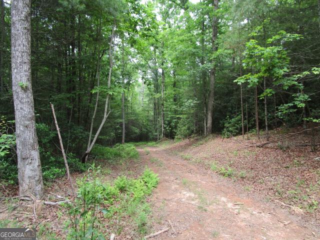 Land for sale in Gilmer, Georgia