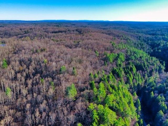 Land for sale in Tennessee
