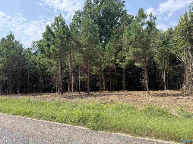 Land for sale in Athens, Limestone County