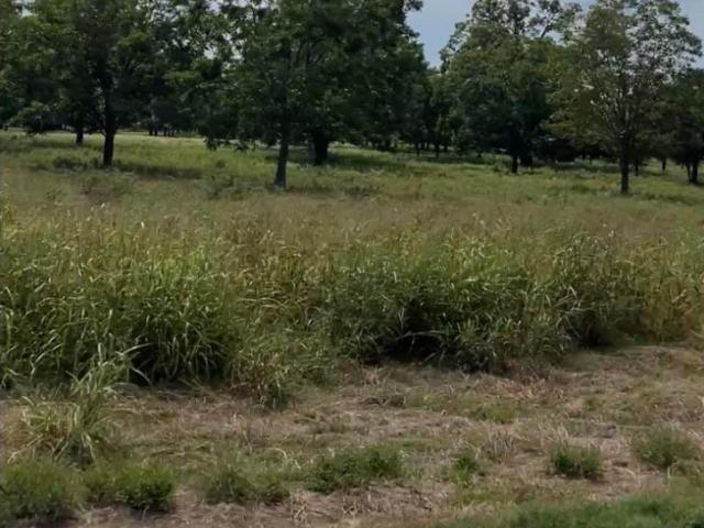 Land for sale in Midway, Texas