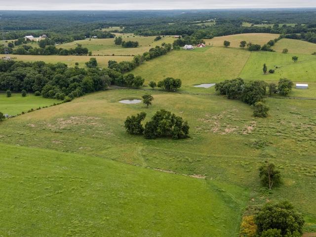 Land for sale in Clever, Missouri