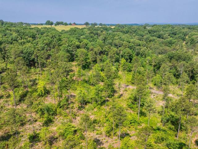 Land for sale in Ark