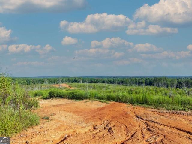 Land for sale in Talbot, Georgia