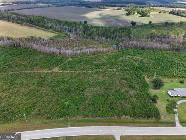 Land for sale in Blackshear, Pierce County