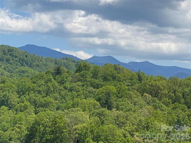 Land for sale in Yancey, North Carolina