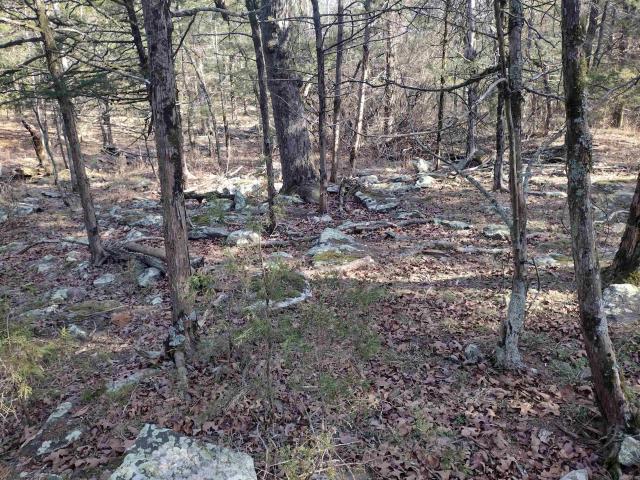 Land for sale in Ark
