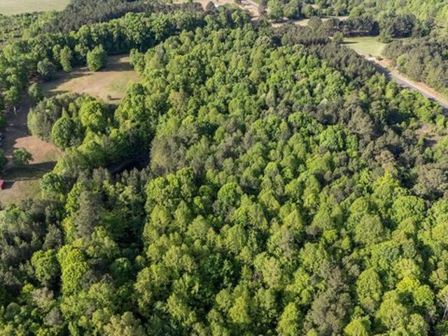 Land for sale in Norlina, North Carolina