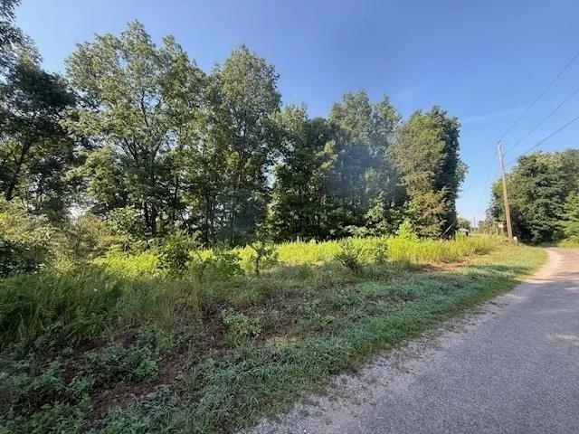 Land for sale in Savannah, West Tennessee