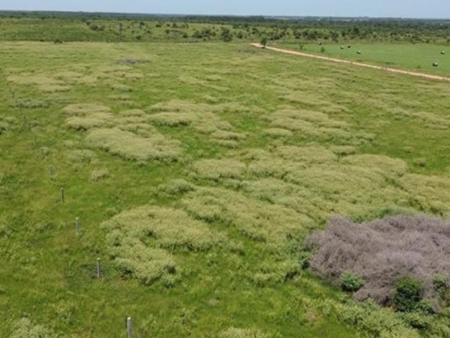 Land for sale in Cat Spring, Texas
