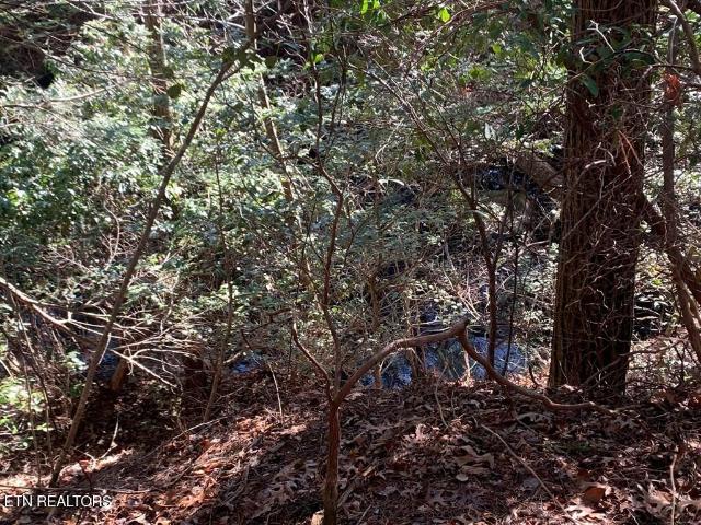 Land for sale in Tennessee