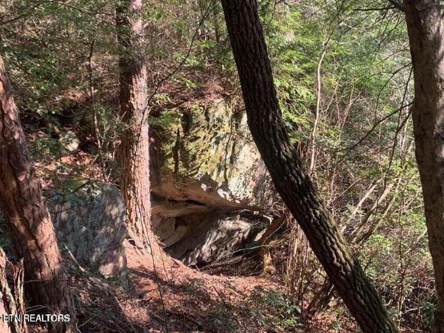 Land for sale in Tennessee