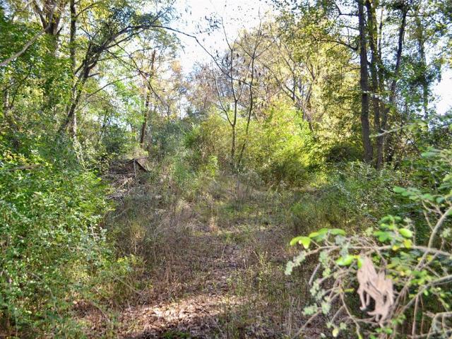 Land for sale in Harrison, Texas