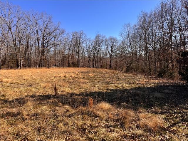 Land for sale in Ark