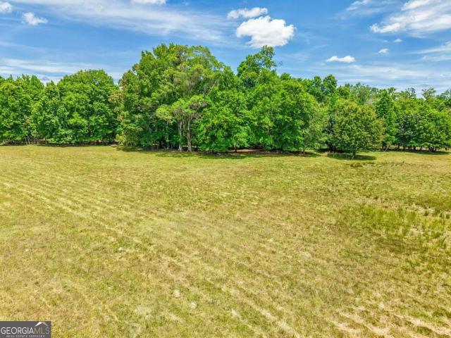 Land for sale in Oconee, Georgia