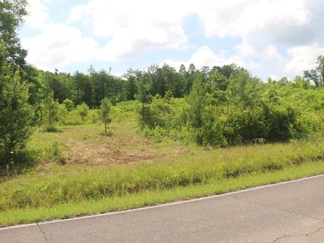 Land for sale in Tennessee