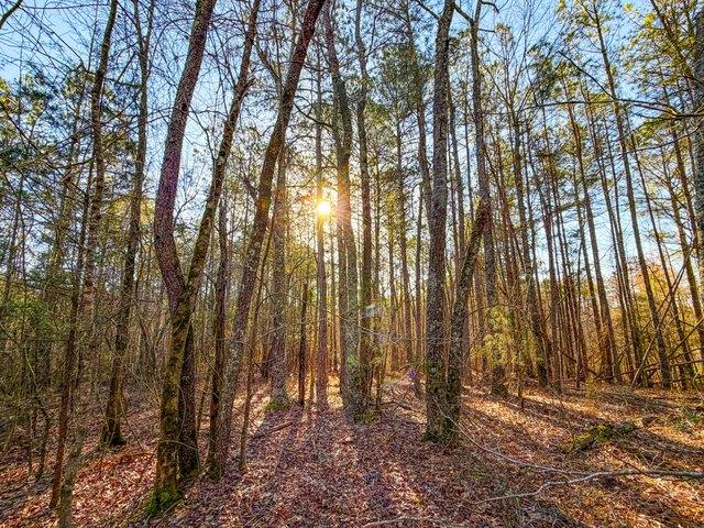 Land for sale in Lineville, Alabama