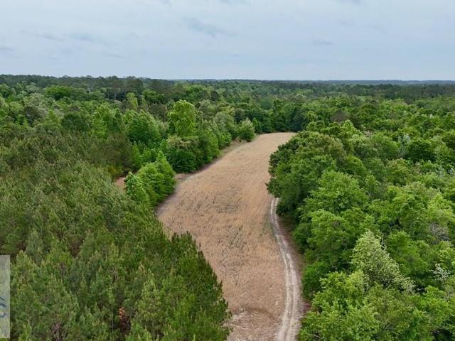 Land for sale in Baxley, Georgia