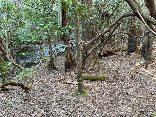 Land for sale in Tennessee
