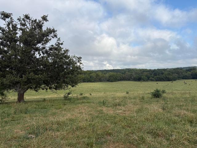 Land for sale in Republic, Greene County
