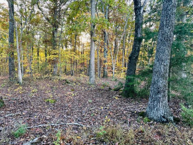 Land for sale in Stanford, Kentucky