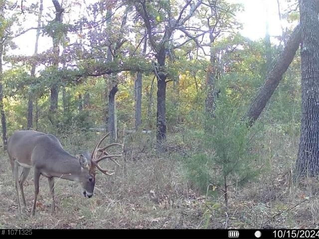 Land for sale in Wilburton, Oklahoma