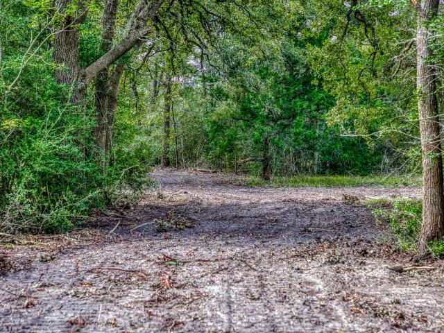 Land for sale in Brenham, Texas
