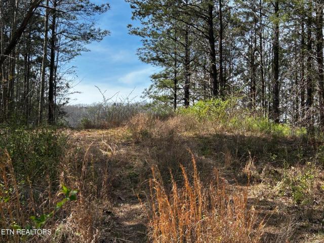 Land for sale in East Tennessee, Tennessee