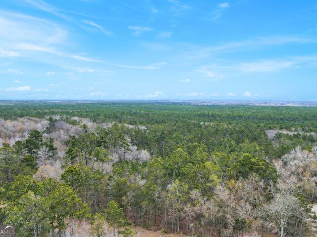 Land for sale in Odum, Georgia