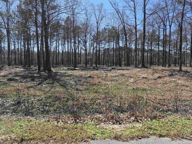 Land for sale in Ark