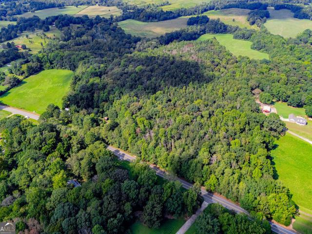 Land for sale in Bowdon, Carroll County