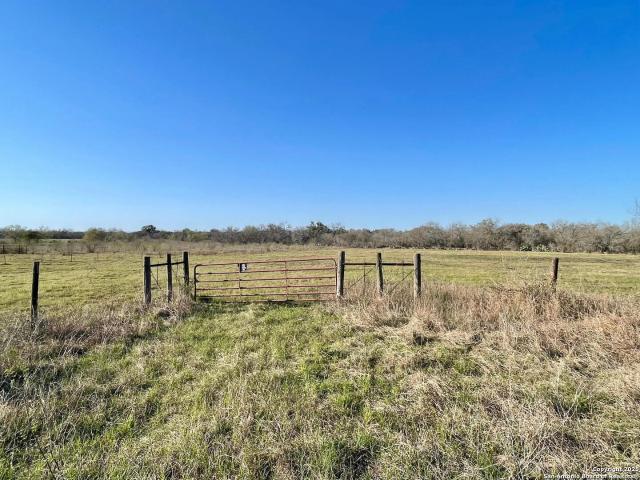 Land for sale in Bee, Texas
