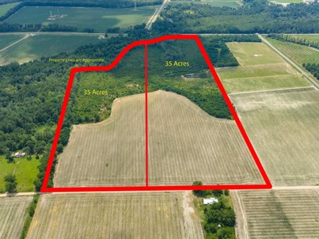 Land for sale in Surrency, Georgia