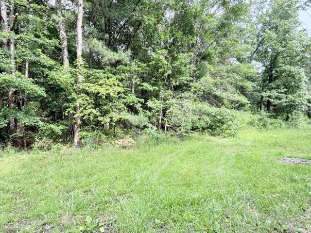 Land for sale in Caledonia, Mississippi