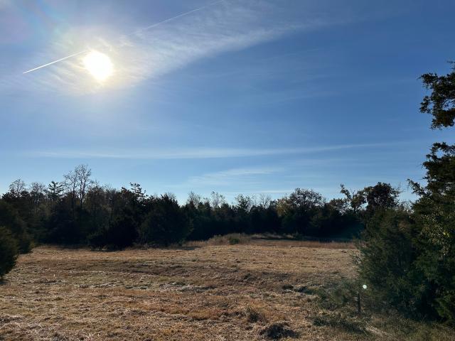 Land for sale in Mexico, Missouri