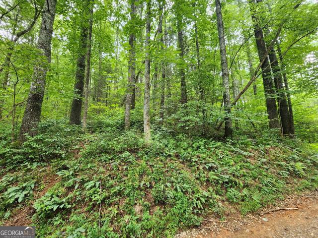 Land for sale in Union County, Georgia