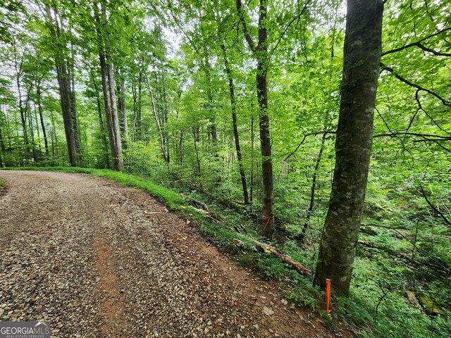 Land for sale in Suches, Georgia