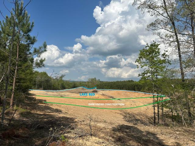 Land for sale in Mena, Polk County