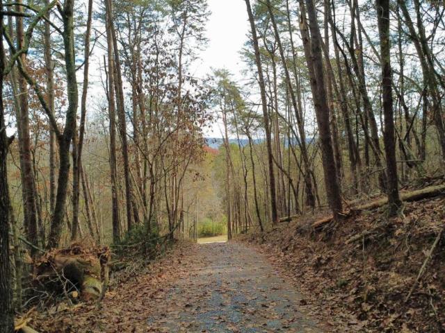 Land for sale in Gordon, Georgia
