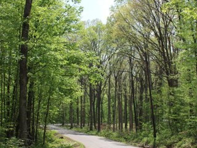 Farm for sale in Indiana