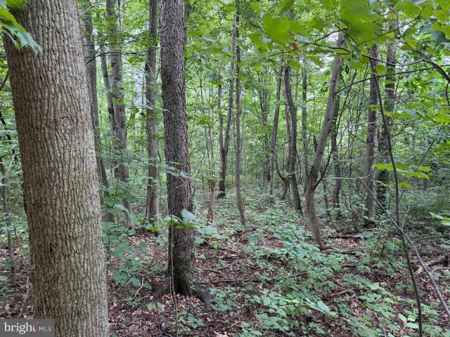 Land for sale in Crystal Spring, Pennsylvania