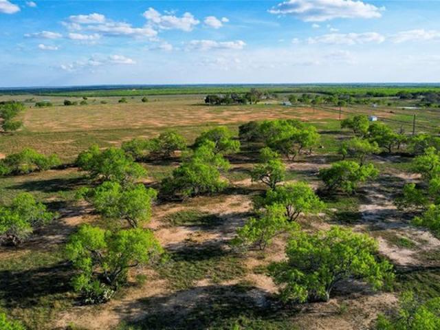 Farm for sale in Nixon, Texas