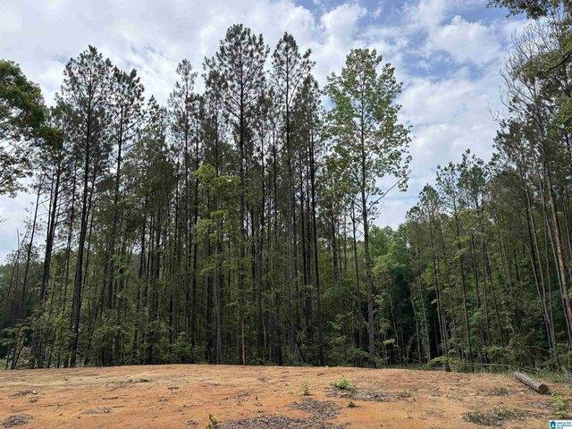 Land for sale in Wedowee, Alabama