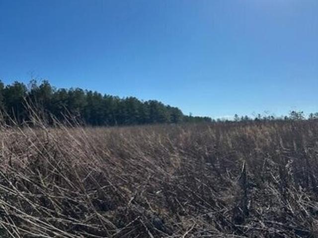 Land for sale in Tennessee