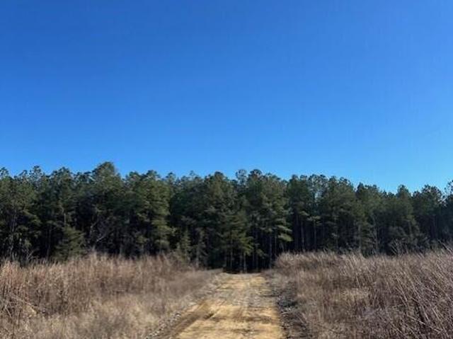 Land for sale in Gruetli-Laager, Middle Tennessee