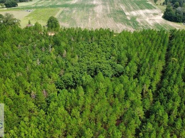 Land for sale in Fitzgerald, Georgia
